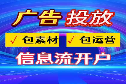 成功SEM竞价托管案例分析报告